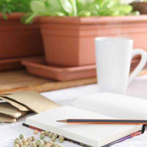 Planning Your 2025 Vegetable Garden: Tips for Success