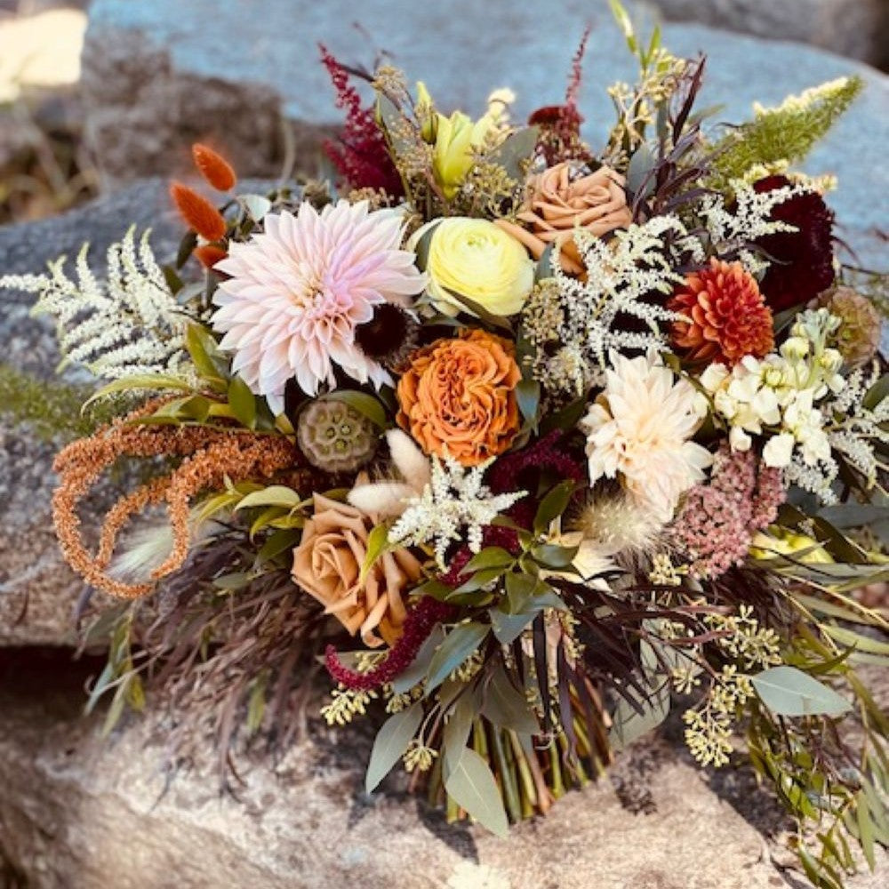 Fall Color!