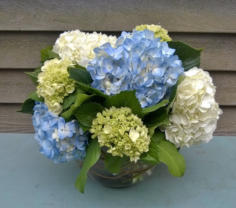 Classic Hydrangea Bowl