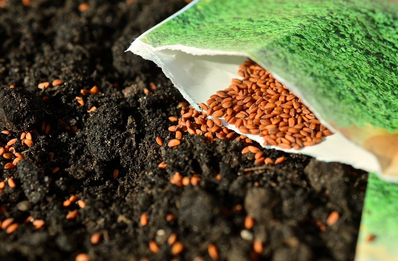 Starting Seedings Indoors to Kick Start Your Garden