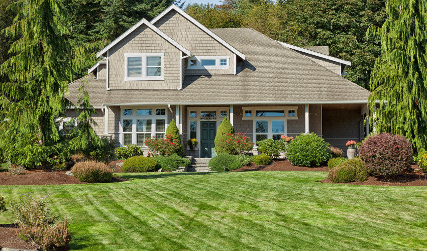 Lawn Care in the Spring and Summer Months