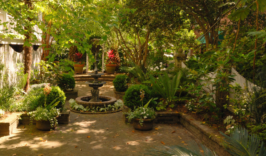 Creating a Tranquil Oasis A Guide to Planning Your Shade Garden with