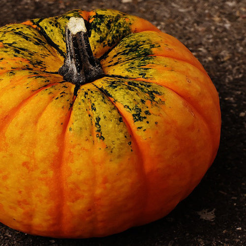 What to Do With Rotten Pumpkins