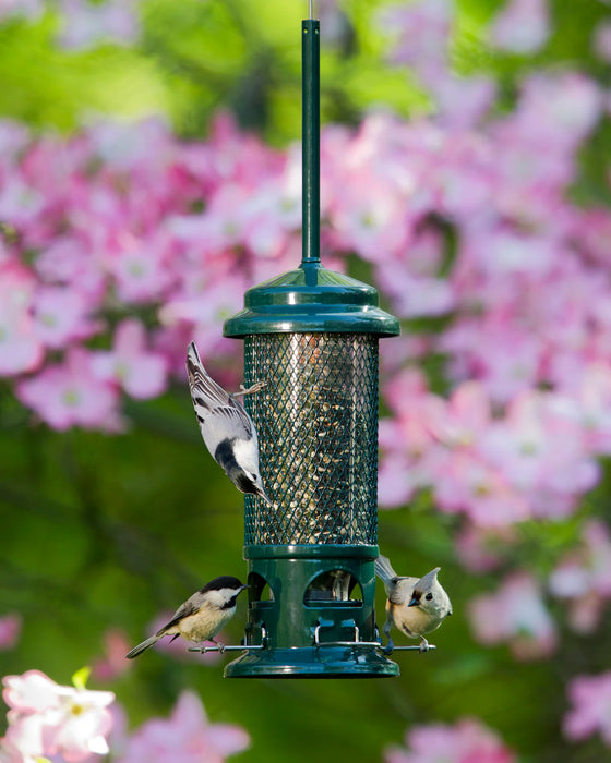 Feeder, Squirrel Buster Standard