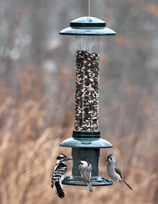 Feeder, Squirrel Buster Evolution