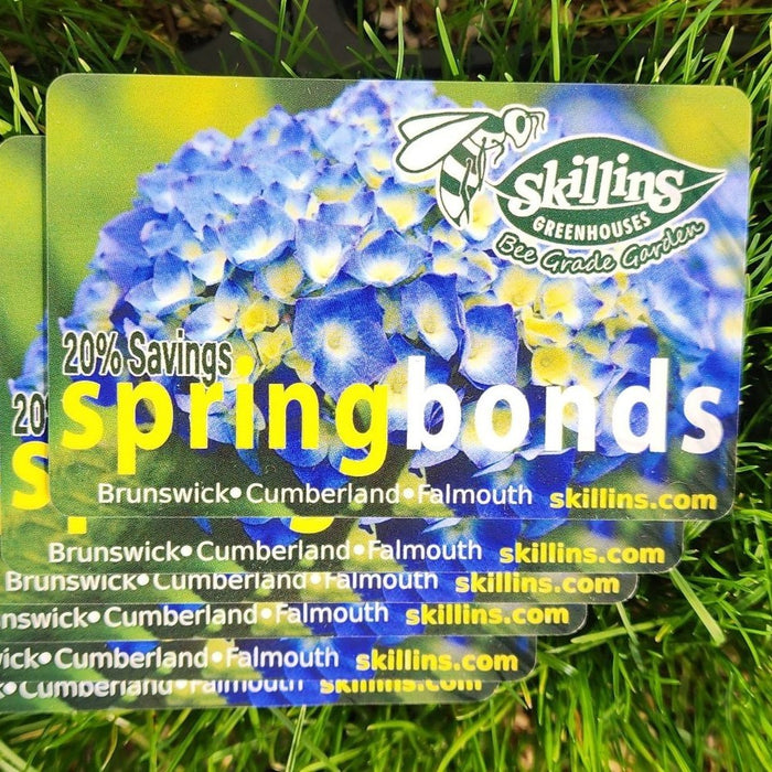 Spring Bonds $100