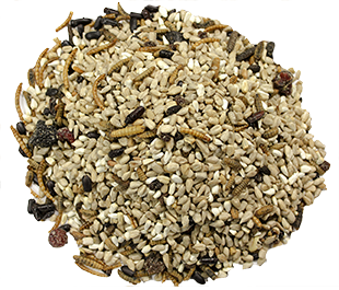 Wild Delight, Bugs N' Berries 4.5lbs