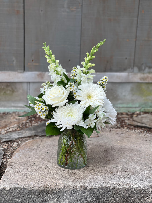 Designer's Choice (Plus)