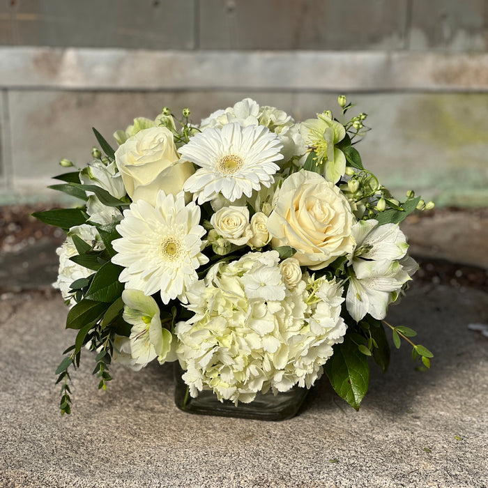 Designer's Choice (Super)