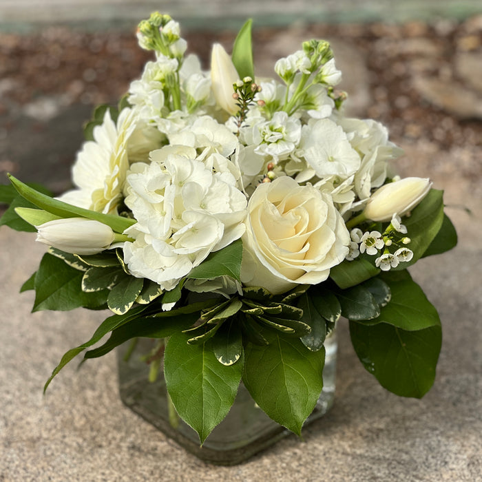 Designer's Choice (Regular)