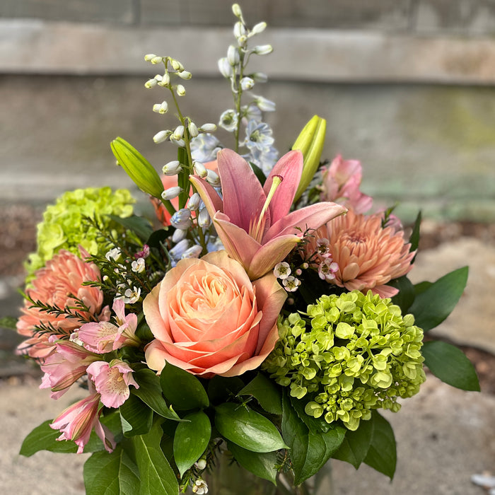 Designer's Choice (Plus)