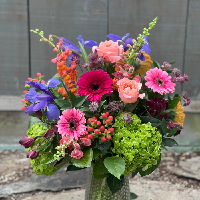 Designer's Choice (Premium)