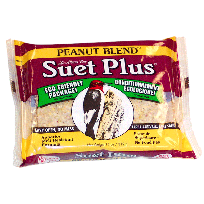 Suet, Peanut Blend Suet Plus