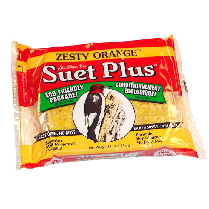 Suet, Zesty Orange Suet Plus