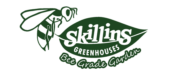 skillins logo