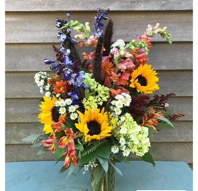 Skillins Select Fall Designer's Choice, Deluxe