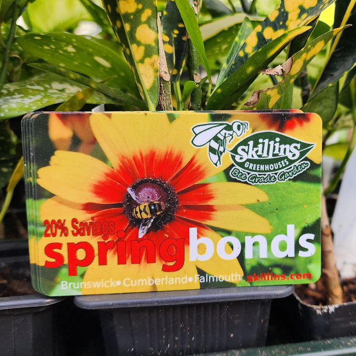 Spring Bonds $50