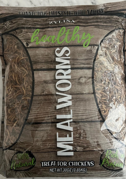 Mealworms 10oz, Zylina