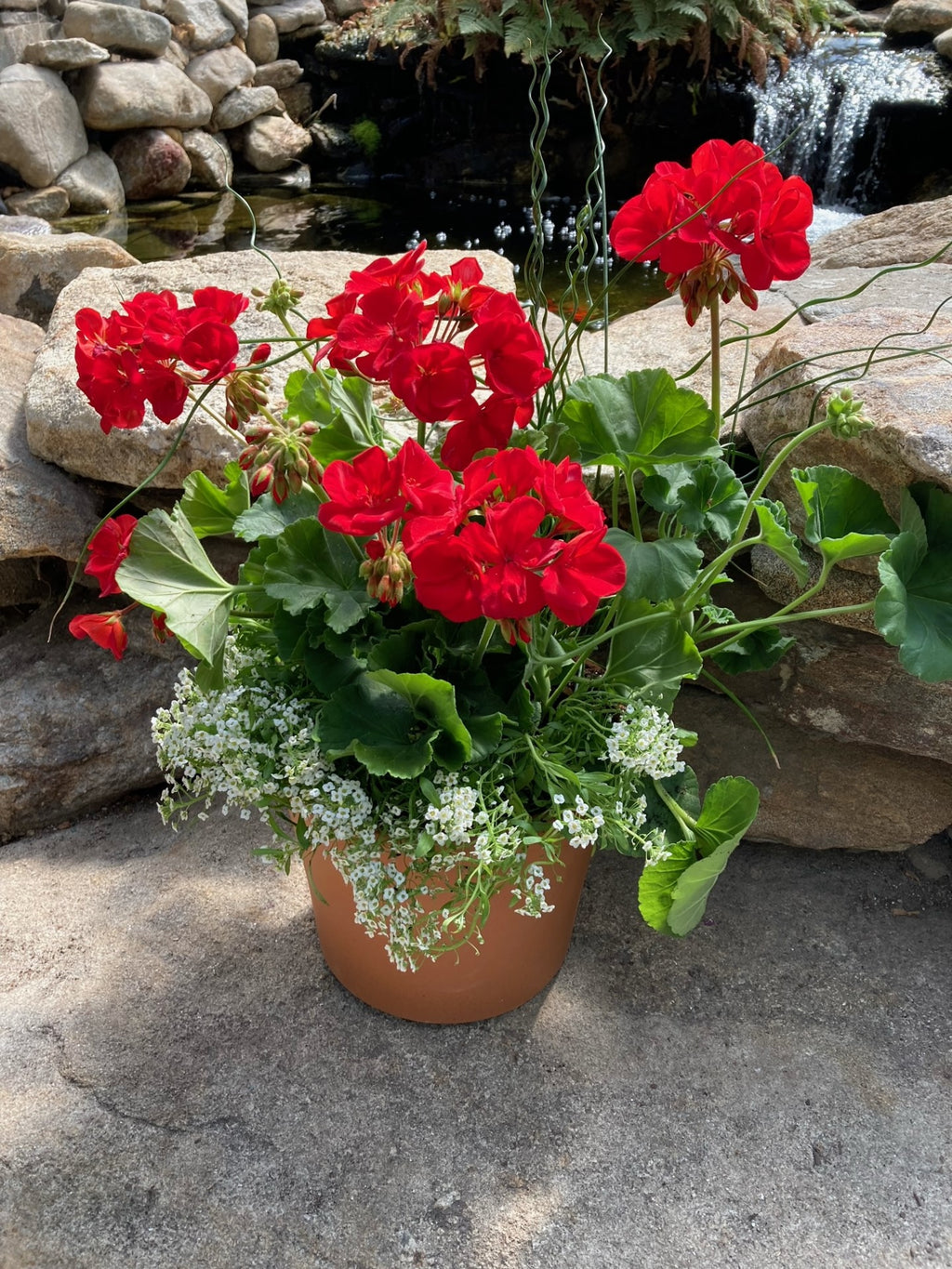 For all your Maine Gardening Brunswick, Falmouth, CumberlandMaine