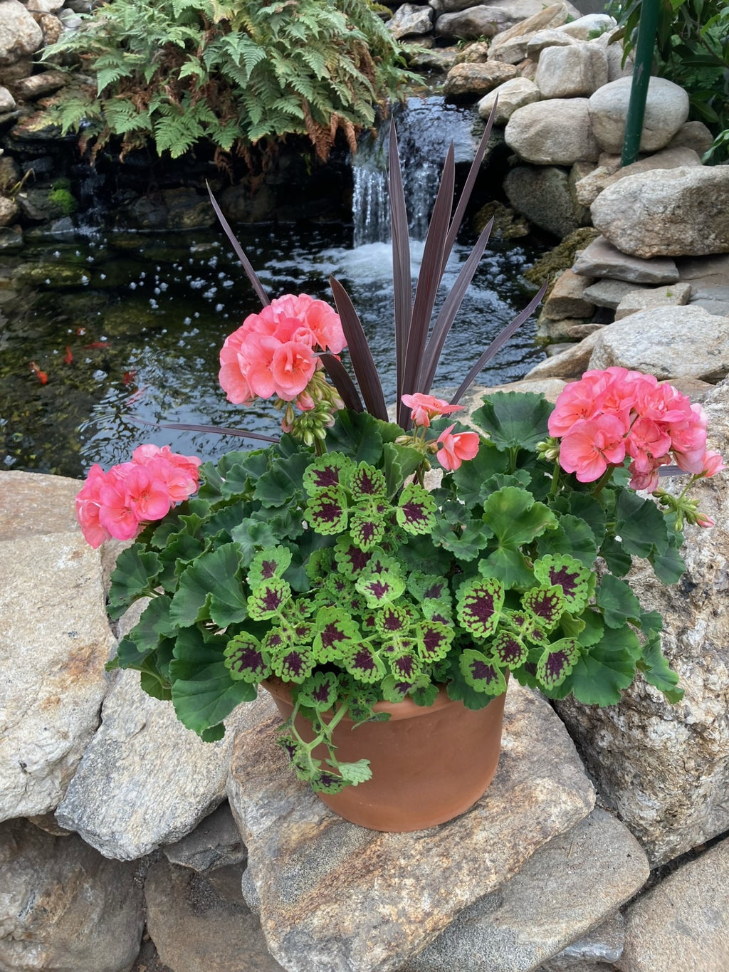 For all your Maine Gardening Brunswick, Falmouth, CumberlandMaine — Skillins Greenhouses