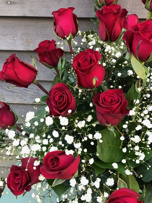 Romantic Roses Two Dozen — Skillins Greenhouses