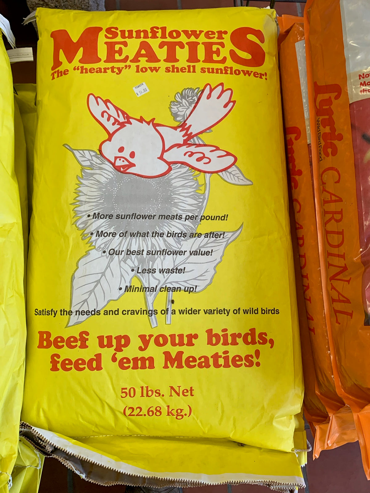 Meaties Sunflower — Skillins Greenhouses