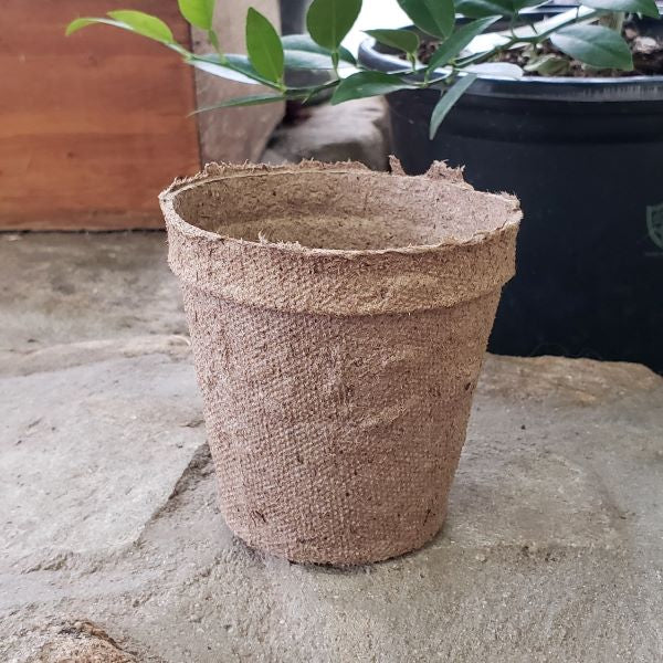 Peat Pot 3" Round