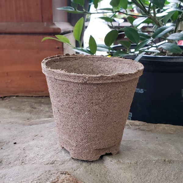 Peat Pot 4" Round
