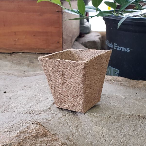 Peat Pot 2.25" Square